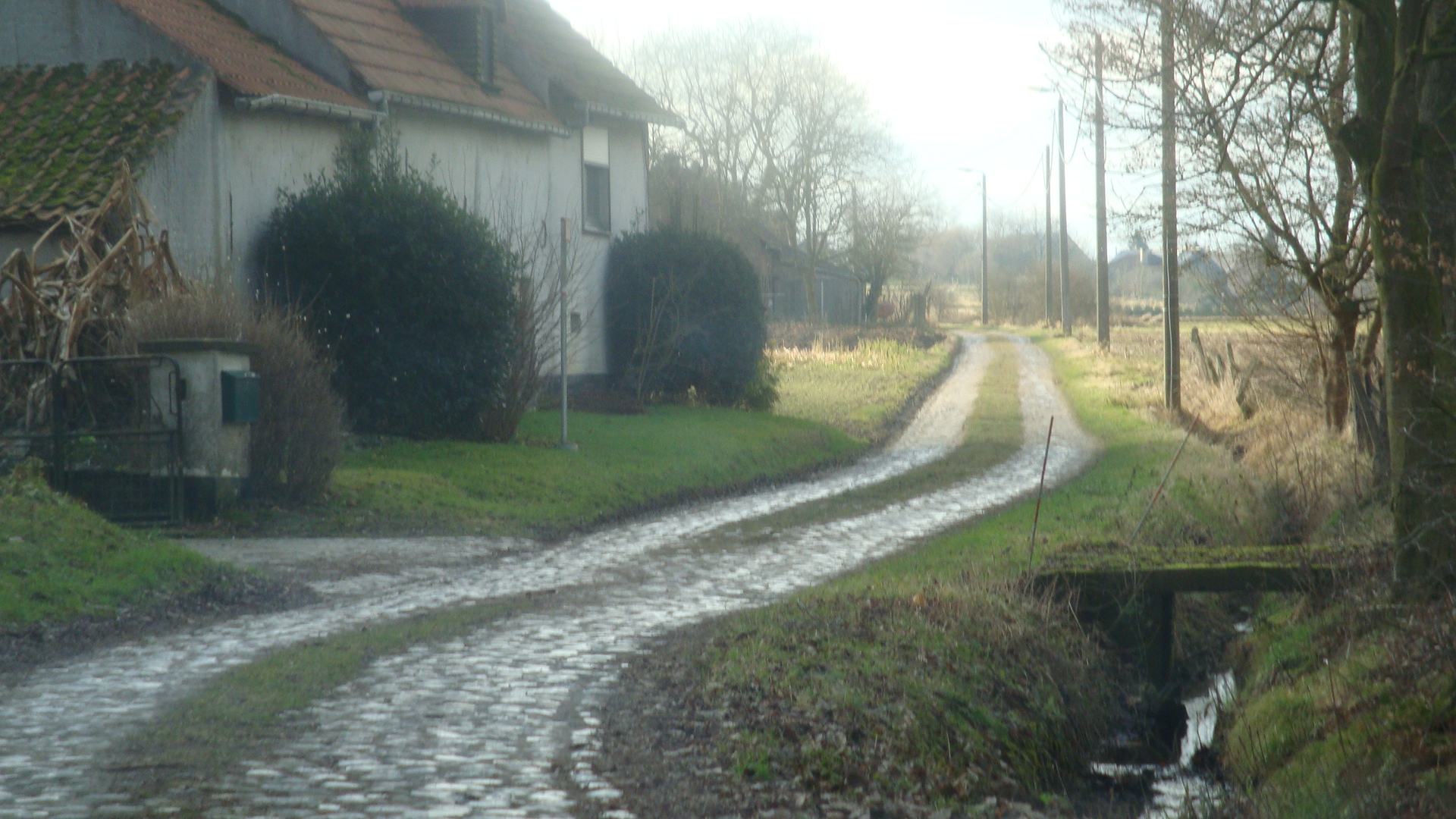 66-Aarschotsestraat-beek.JPG - 855,21 kB